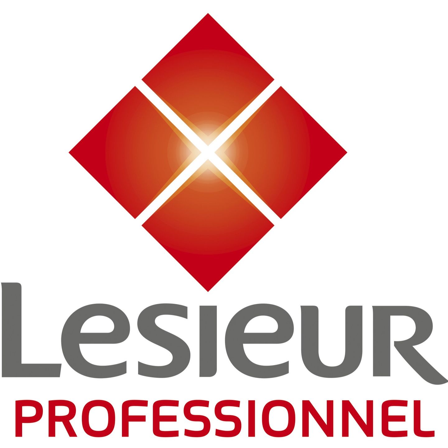 Lesieur Professionnel