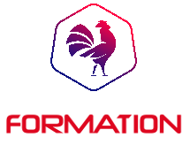 Fédération Française de Football Américain